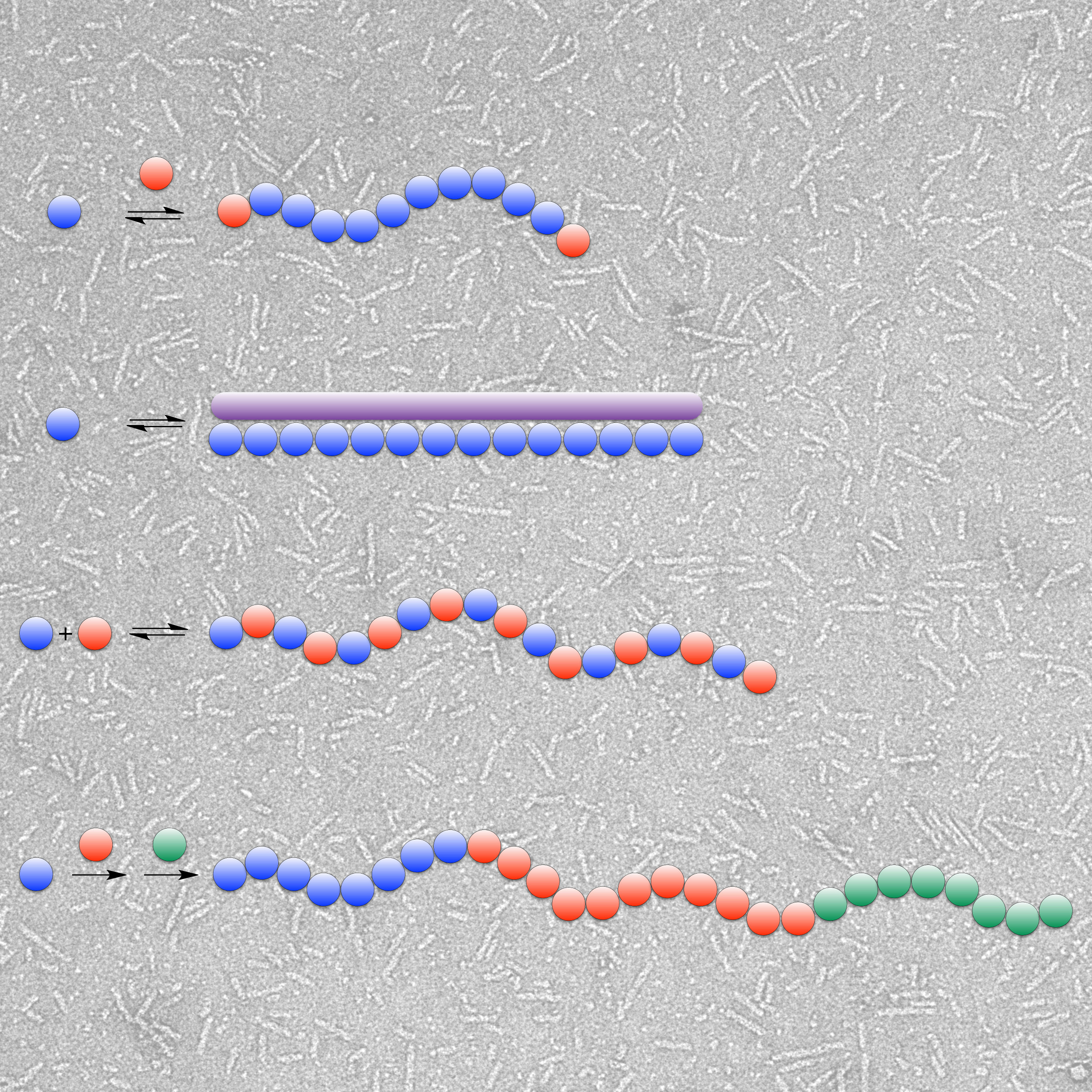 download fat detection taste texture and post ingestive effects frontiers in neuroscience