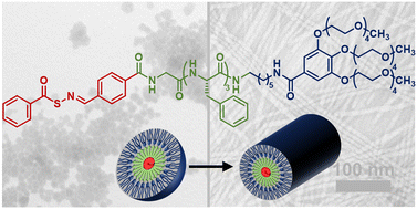 [70] Regulating H2S Release from Self-Assembled Peptide H2S-Donor Conjugates using Cysteine Derivatives.