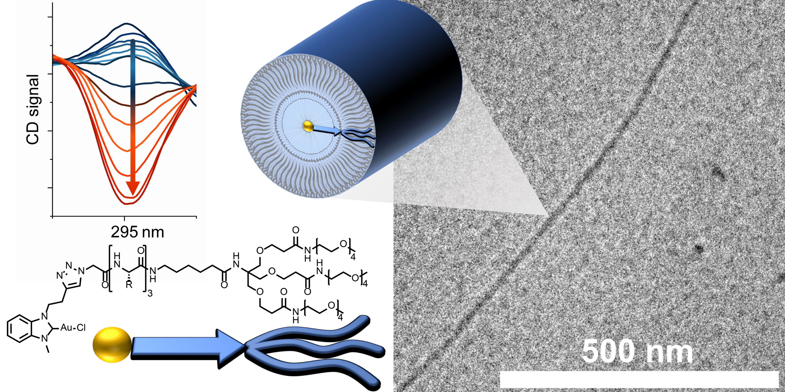 [64] Impact of Sample History and Solvent Effects on Pathway Control in the Supramolecular Polymerisation of Au(I)-Metallopeptide Amphiphiles.