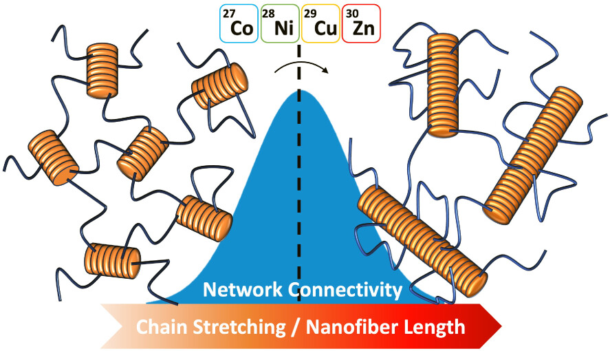 [81] Metal Ion-Specific Modulation of Network Connectivity and Defects in Poly(ethylene glycol) Peptide Conjugate Assemblies and Hydrogels.