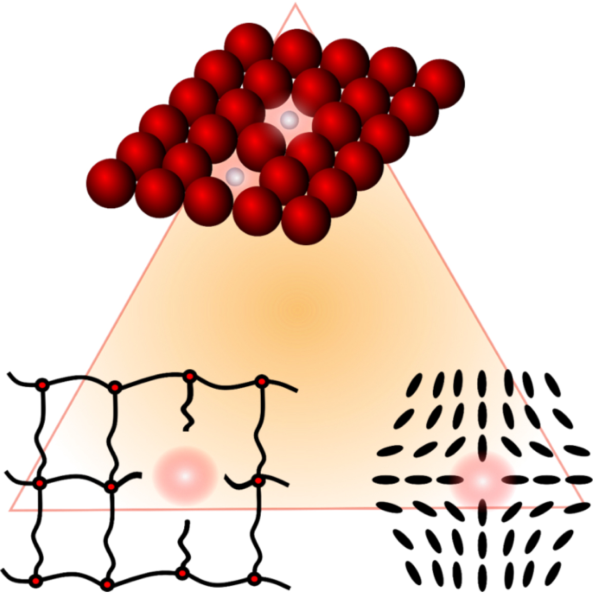 [R8] Defects and Defect Engineering in Soft Matter.