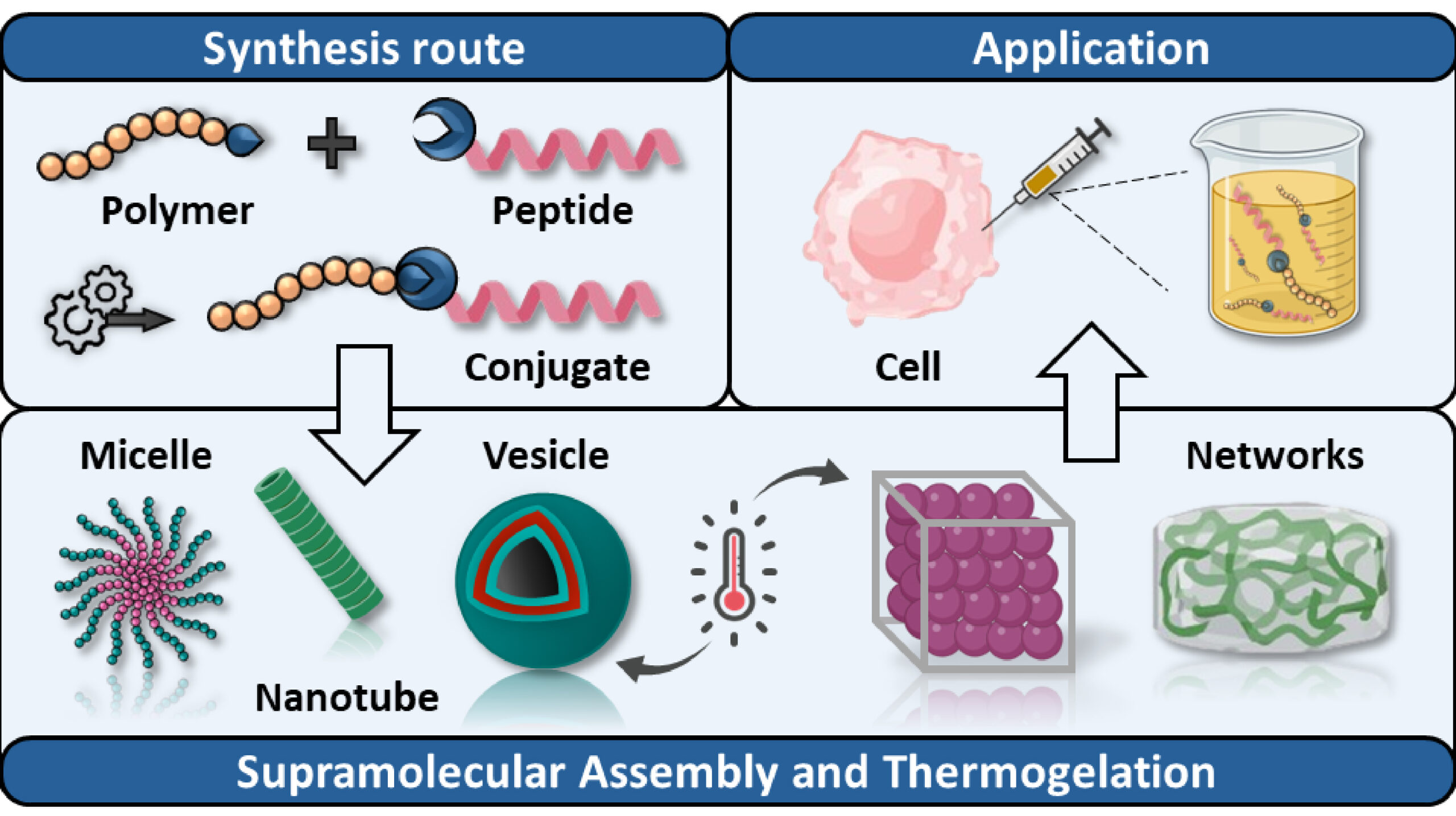 [R10] Supramolecular Assembly and Thermogelation Strategies using Peptide-Polymer Conjugates.